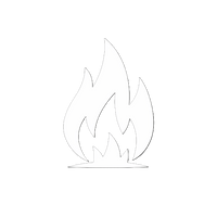 CARBONIZADO