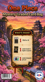 One Piece Mystery Graded Card Bag